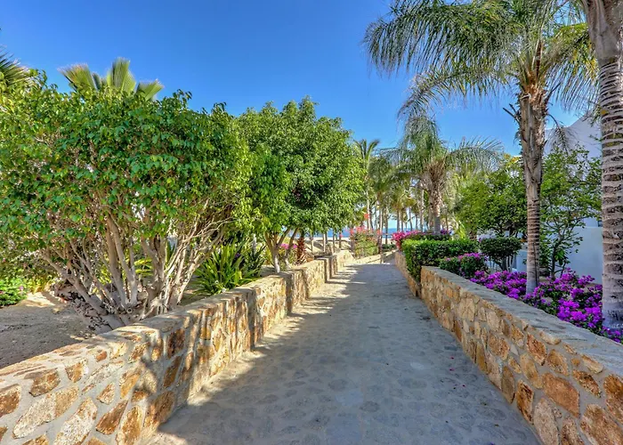 Cabo Pedregal Ocean View And 2 Infinity Pools Apartamento *